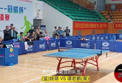 乒乓球比赛视频直播,精彩瞬间回顾